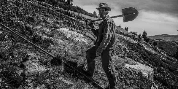La descapitalización de la agricultura familiar peruana