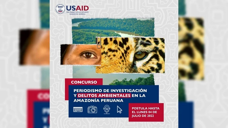 Lanzan segunda edición del concurso sobre delitos ambientales en la Amazonía peruana