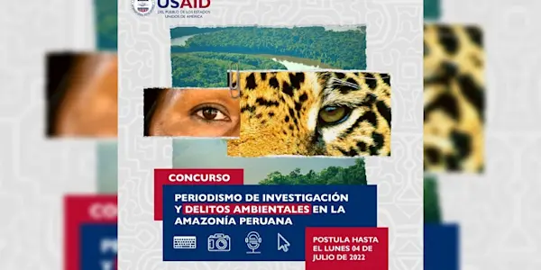 Lanzan segunda edición del concurso sobre delitos ambientales en la Amazonía peruana