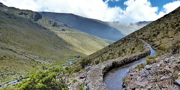 Un despropósito en curso