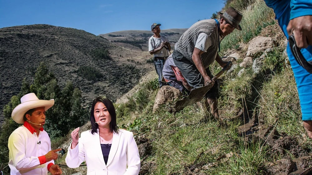 Los planes agrarios de Pedro Castillo y Keiko Fujimori