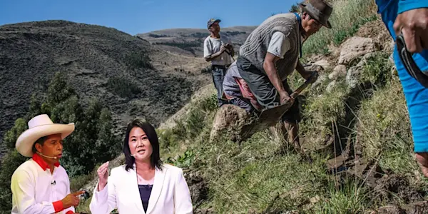 Los planes agrarios de Pedro Castillo y Keiko Fujimori