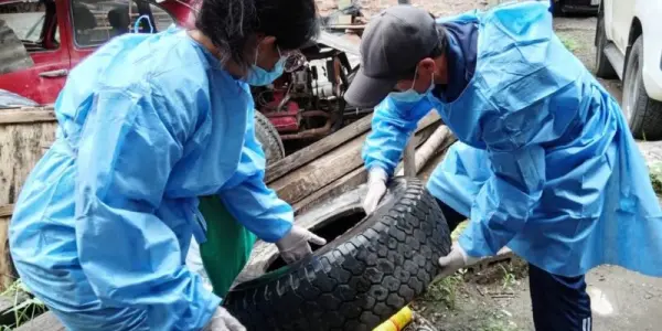 Casos de dengue siguen aumentando en Cajamarca