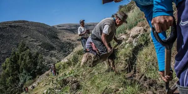 El fallido y burlesco inicio del FAE-Agro ¿y ahora qué?