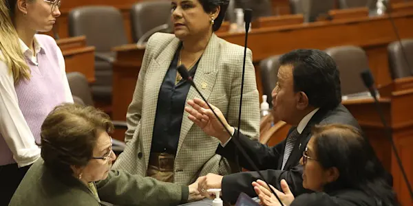 Democracia fantoche y bastarda