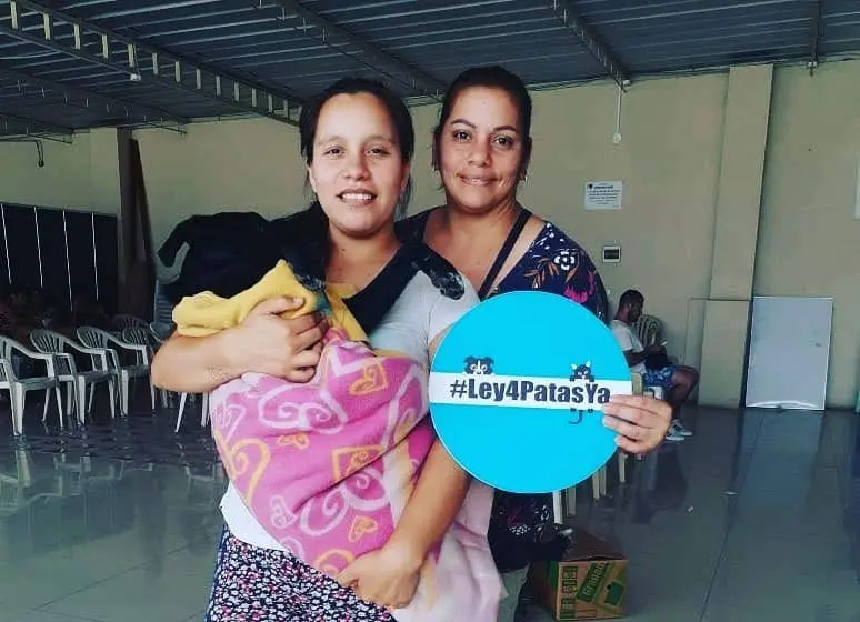 Proyecto de #Ley4PatasYa: esterilización animal como política de salud pública para enfrentar la desigualdad