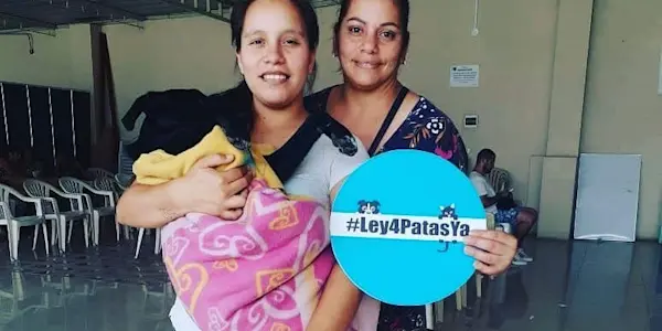 Proyecto de #Ley4PatasYa: esterilización animal como política de salud pública para enfrentar la desigualdad