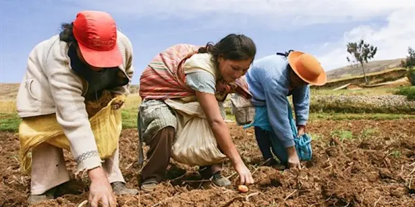 ¿Plan de emergencia agraria?