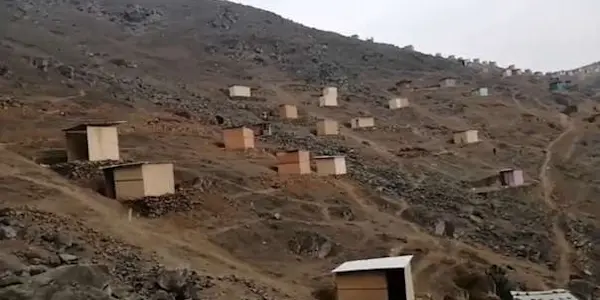 Entre el crecimiento urbano y el cuidado ambiental: ¿es posible frenar el tráfico y la invasión de terrenos que afectan a las lomas costeras limeñas?