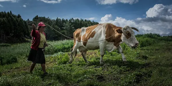 Presupuesto para la igualdad: el reto de la nueva ministra de Desarrollo Agrario y Riego