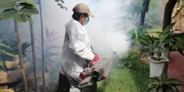 Aumentan a 1931 los casos de dengue en Cajamarca