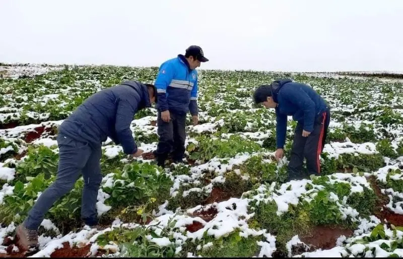 Cusco en alerta sanitaria ante bajas temperaturas