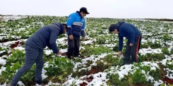 Cusco en alerta sanitaria ante bajas temperaturas