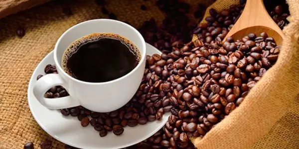 La contribución de las cooperativas a una cultura de consumo de café