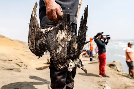 Manam aslla tallikuyllachuqaya