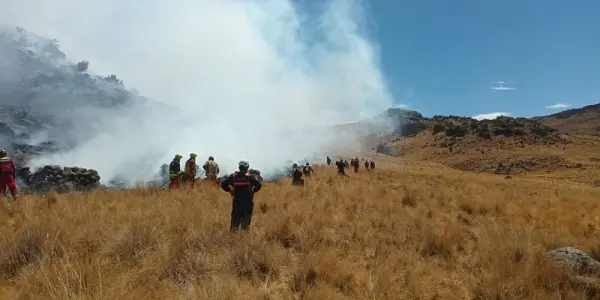 Más de 500 incendios forestales se han producido en Puno en los últimos dos años