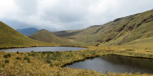 Se crea el Área de Conservación Regional Páramos y Bosques Montanos de Jaén y Tabaconas
