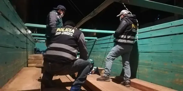 SERFOR decomisa 6 mil pies de tablares de madera en Juliaca