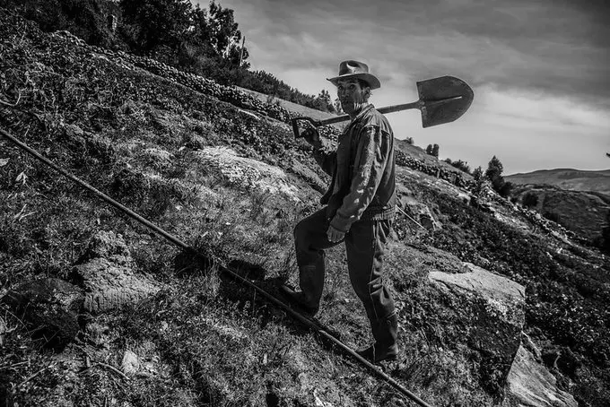 El gobierno de Sagasti y la agenda agraria en pandemia