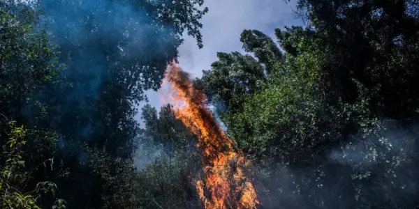 Vilcashuamán: Comuneros de Santa Rosa de Huancapuquio denuncian por saqueo y destrucción de sus bienes a la comunidad de Pomacocha