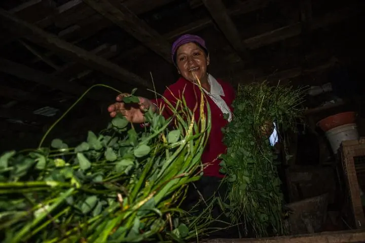 Mujeres rurales a la sombra de la pandemia: una labor no reconocida