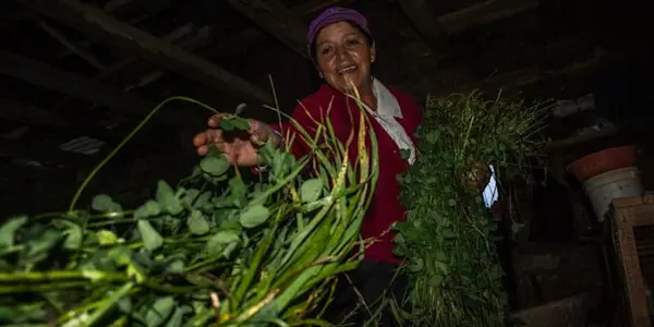 Mujeres rurales a la sombra de la pandemia: una labor no reconocida