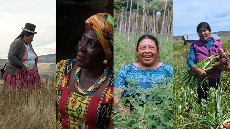 14 países de América Latina y el Caribe no cuentan con información sobre el número de mujeres indígenas propietarias de tierras