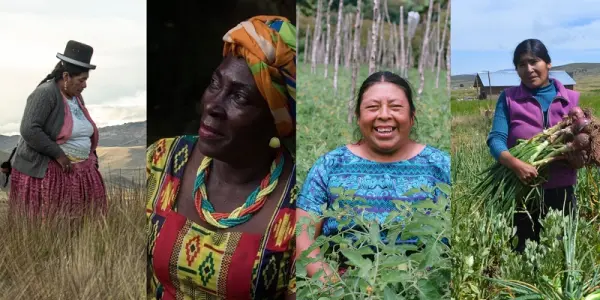 14 países de América Latina y el Caribe no cuentan con información sobre el número de mujeres indígenas propietarias de tierras