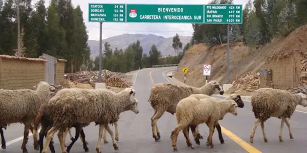 Lula y el Perú: ¿las relaciones serán diferentes durante su tercer mandato? (III)