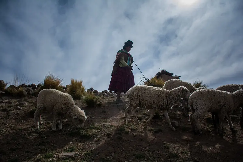 No hay segunda Reforma Agraria sin mujeres rurales e indígenas