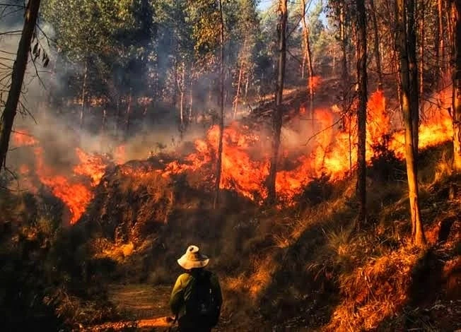 Incendio forestal afectó 600 hectáreas en Tambomachay, Ccorao y Sacsayhuamán