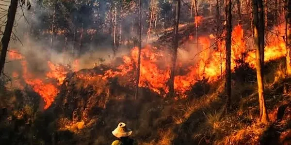 Incendio forestal afectó 600 hectáreas en Tambomachay, Ccorao y Sacsayhuamán