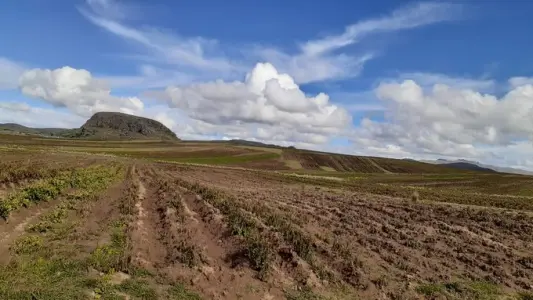 Agricultores de Puno preocupados por la ausencia de lluvias piden atención de autoridades