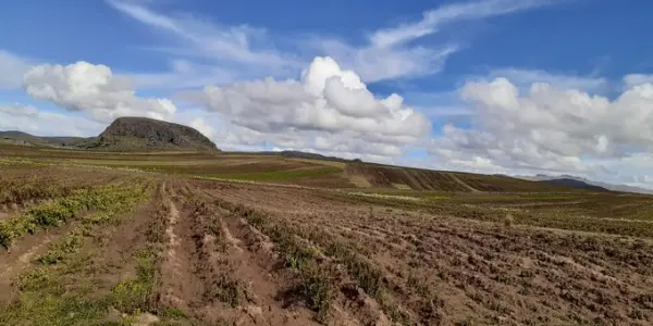 Agricultores de Puno preocupados por la ausencia de lluvias piden atención de autoridades