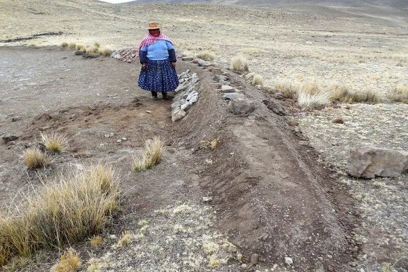 Alcaldes de Puno aún no cuentan con un plan de emergencia para enfrentar la sequía