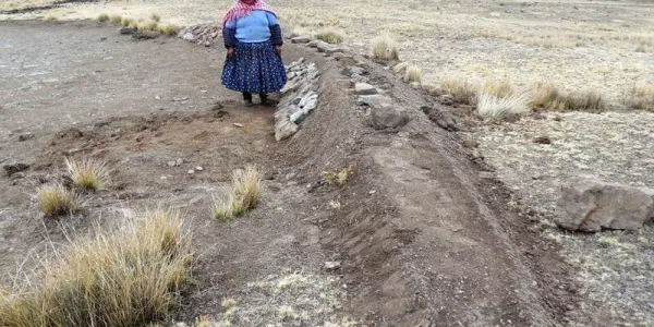 Alcaldes de Puno aún no cuentan con un plan de emergencia para enfrentar la sequía
