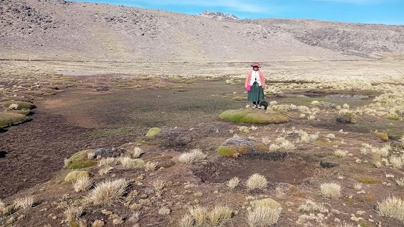 Consejo Regional de Puno declara agro en emergencia por sequía
