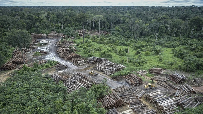 Los defensores ambientales, la crisis climática y la casa común