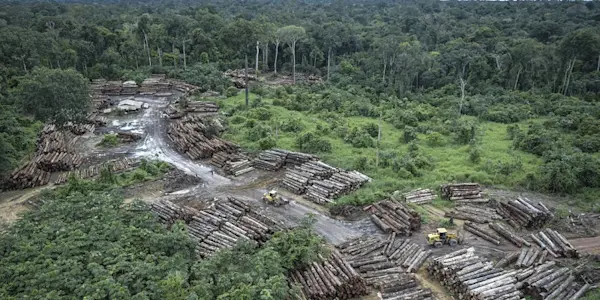 Los defensores ambientales, la crisis climática y la casa común