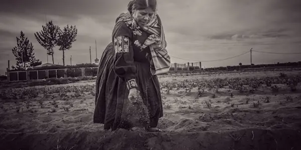 Profundizando las brechas de género:  la estrategia de mujer rural e indígena