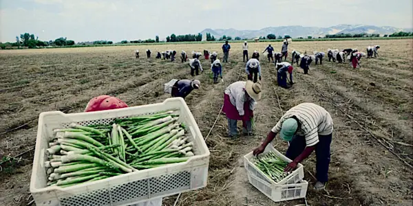 La Ley Agraria en el limbo ¿hacia dónde ir?