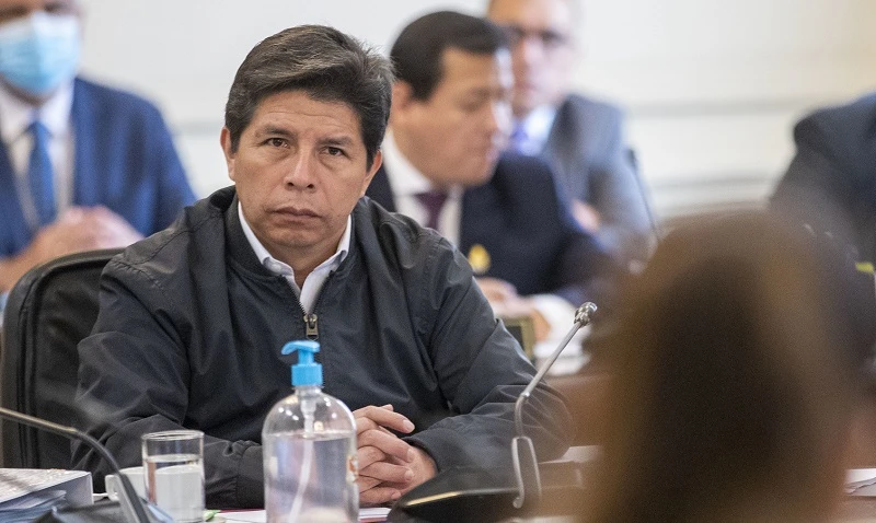 La denuncia de la Fiscal de la Nación contra Pedro Castillo y la Resolución de la OEA
