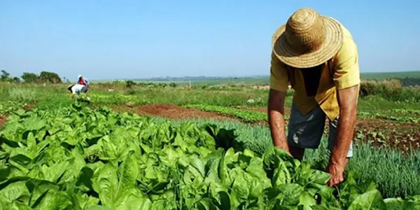 La agro exportación sin beneficios para el trabajador no tiene sentido ni viabilidad