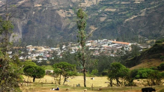 Cajamarca: Piden investigación en caso de mujer encontrada muerta tras varios días desaparecida