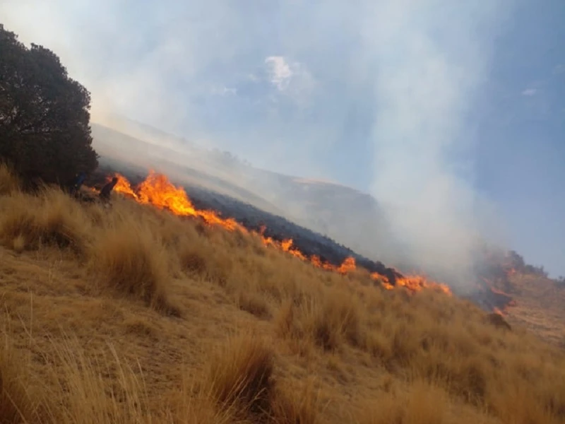 Familias comuneras de Lampa pierden 7,000 hectáreas de pasto por incendio forestal