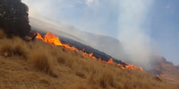 Familias comuneras de Lampa pierden 7,000 hectáreas de pasto por incendio forestal