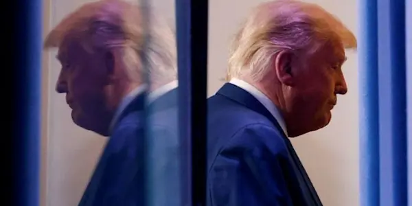 You are fired!