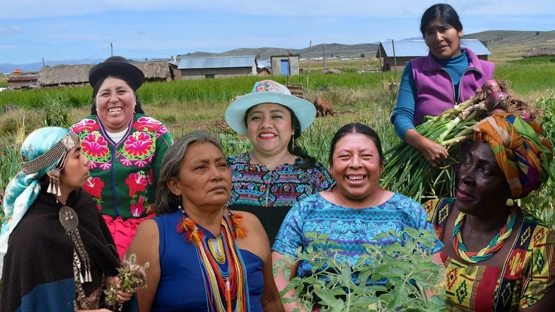 Más del 90% de las mujeres indígenas en América Latina y El Caribe no acceden a títulos de sus tierras