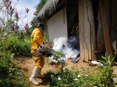 Aumentan los casos de dengue en Chanchamayo