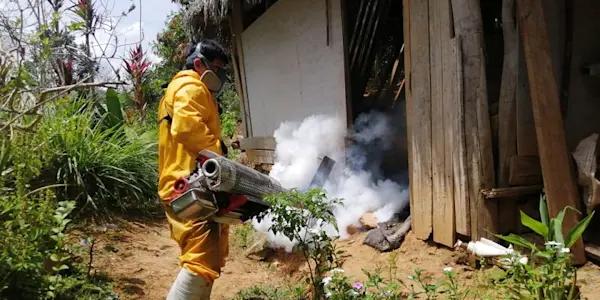Aumentan los casos de dengue en Chanchamayo